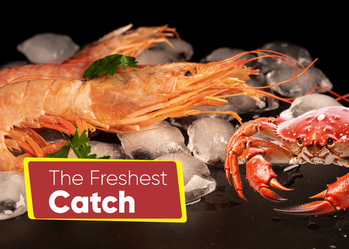 The_Freshest_Catch